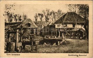 1917 Curte Taraneasca / Rumänischer Bauernhof / Romanian folklore, farm yard