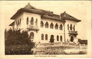 Szelistye, Salistea Sibiului, Saliste; Casa Nationala / Nemzeti ház. I. Dadarlat fotograf. / National House (felületi sérülés / surface damage)
