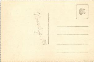 Marosillye, Maros-Illye, Ilia (?); erdei ház / forest villa. photo