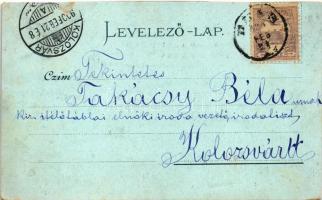 1900 Dés, Dej; Szt. Ferenc rendiek palotája, református templom, Milleniumi szobor (1919-ben ledöntö...