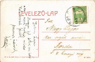 1910 Nagyenyed, Aiud; Jéggyár és vágóhíd. W.L. Bp. 6087. Cirner J. József kiadása / ice factory and ...