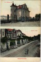 1912 Nagyenyed, Aiud; Dr. Dobozy ház, Sétatéri villák. Cirner József kiadása / villas, street view