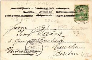 1902 Erdélyi cigányok / Transylvanian gypsy camp (EK)