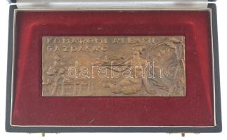 ~1970. "Komáromi Állami Gazdaság" egyoldalas bronz plakett dísztokban (139x69mm) T:2