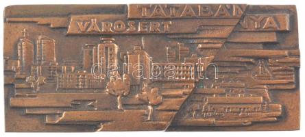 ~1970. Tatabánya városért egyoldalas bronz plakett dísztokban (146x64mm) T:2