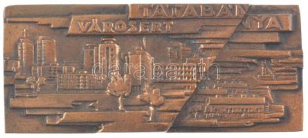 ~1970. &quot;Tatabánya városért&quot; egyoldalas bronz plakett dísztokban (146x64mm) T:2