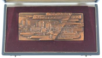 ~1970. "Tatabánya városért" egyoldalas bronz plakett dísztokban (146x64mm) T:2