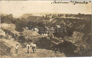 1918 Padureni (Jaristea). photo (EK)