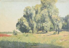 Sárdy Brutus (1892-1970): Napfényes Dunapart, 1927. Olaj, vászon, kartonon. Jelezve jobbra lent. Hátoldalán korabeli kiállítási raglappal. 35x49,5 cm.