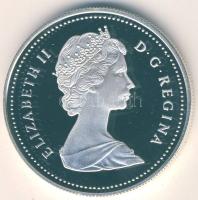 Kanada 1989. 1$ Ag "Mackenzie River" T:PP Tanúsítvánnyal! Eredeti díszdobozban!