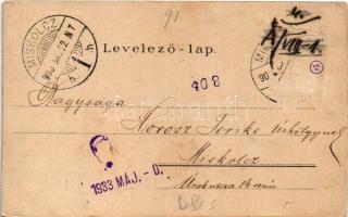 1900 Üdvözlet Magyarországból! Magyar címer, térkép, népviselet, folklór. Schmidt Victor és Fiai / G...