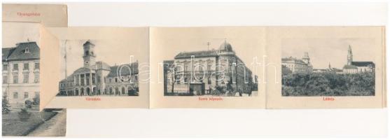 1909 Zombor, Sombor; Vármegyeháza. Kaufmann Emil kiadása. Leporellólap 10 képpel / county hall. lepo...