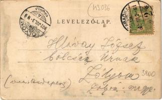 1902 Palics, Palic; részlet. Wilheim Samu kiadása / park (fl)