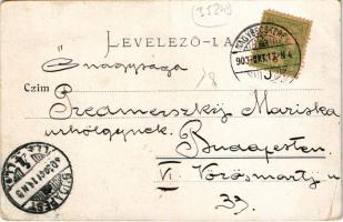 1903 Nagybecskerek, Zrenjanin, Veliki Beckerek; Római katolikus templom. Oldal kiadása / Röm. kat. K...