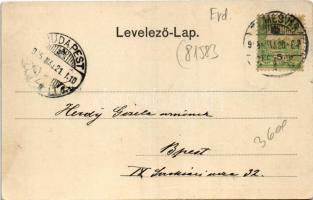 1905 Temesvár, Timisoara; Vadászerdő, 
M. kir. erdőőri szakiskola. Polatsek kiadása / forest ranger...