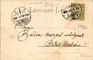 1903 Temesvár, Timisoara; Gyárváros, M. kir. állami tanítóképző. Mangold kiadása / teachers' tr...