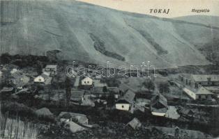 Tokaj-hegyalja