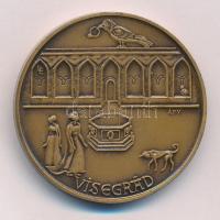 Ligeti Erika (1934-2004) 1973. "MÉE 4. Vándorgyűlése - Esztergom / Visegrád" kétoldalas pi...