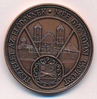 Szabó Imrefia Béla / Szabó Géza 2011. "Guba Pál - piarista tanár - az egyházi kincstár létrehoz...