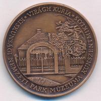 Bognár György (1944-) DN "Virágh Gedeon 1825-1872 - Az 1848-as Szabadságharc huszár őrnagya / V...