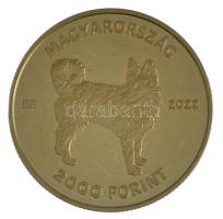 2022. 2000Ft Cu-Ni-Zn "Mudi" kapszulában T:P