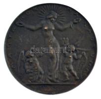 Esseő Erzsébet (1883-1954) 1922. "Soproni népszavazás" kétoldalas bronz emlékérem "MA...