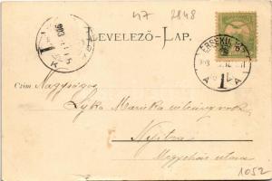 1903 Rajecfürdő, Rajecké Teplice (Zsolna mellett); Agrarius vendéglő, étterem. Gansel Lipót 115. / r...