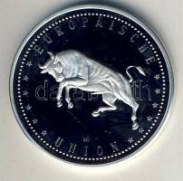 NSZK DN "Az első EU-tanácselnökség" Ag 5,4g T:PP