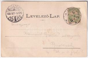 1902 Priszlop-hegység, Prislop (Máramaros, Maramures); Útkaparói lak. Kaufman Ábrahám kiadása / moun...