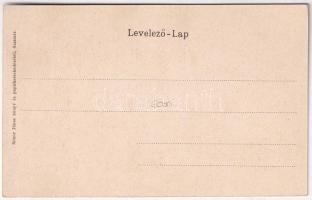 Szatmárnémeti, Satu Mare; Pannonia szálloda, Halász Mór üzlete. Reizer Mór kiadása / hotel, shops