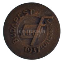 1937. "Louis J.M. Daguerre 1837 / Budapest - MMF - Centenárium" bronz emlékérem, Szign.: G...