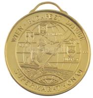 2001. Bécs-Budapest Supermarathon / Széchenyi István Memorial Regatta aranyozott bronz emlékérem füllel, Szign:MM (42.5mm) T:1-