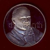 NSZK 1980. "II. János Pál pápa látogatása Németországban" Ag 14,8g T:PP