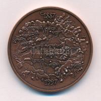 Fritz Mihály (1947-) 1997. "110 éves a Nemesfémműves Ipartestület" kétoldalas bronz emléké...