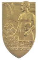 Német Harmadik birodalom ~1940. Jótékonysági adomány a dolgozó anyáknak bronzlemez kitűző (40x25mm) T:1- German Third Empire ~1940. Charitable donation to working mothers bronze plate badge (40x25mm) C:AU