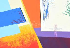 Marton-Ady Gergely (1980-): Bush fire. Akril, vászon. Jelzett a hátoldalán. 60x80 cm