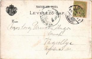 1905 Iglófüred, Spisská Nová Ves Kupele, Novovesské Kúpele; Üstökös tér, Hungária szálló, Millennium...