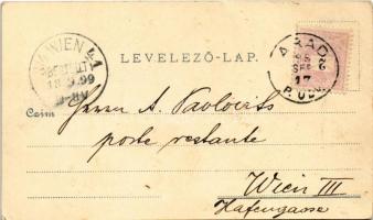 1899 (Vorläufer) Arad, Vértanú szobor, Színház épület, lóvasút, Városháza. Lengyel Lipót kiadása / m...