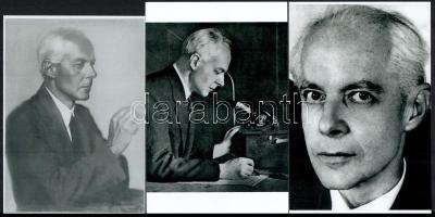 cca 1945 előtti portrék Bartók Béláról, Kálmán Kata, Rónay Dénes és Escher Károly felvételei (a képek hátoldalán jelezve), 3 db modern nagyítás, 15x10 cm és 14x10 cm