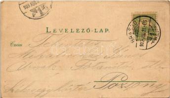 1903 Brassó, Kronstadt, Brasov; Szecessziós képeslap térképpel és címerrel. W. Hiemisch kiadása, Geo...