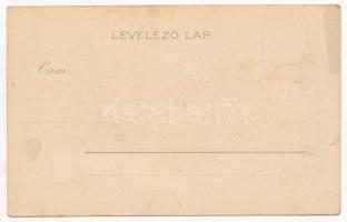 Temesvár, Timisoara; Gyárváros, Római katolikus és zsidó templom, zsinagóga. Corvina könyvkereskedés...