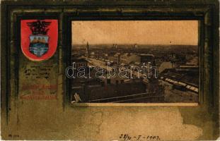 1903 Arad, látkép madártávlatból. Szecessziós címeres litho keret / general view. Art Nouveau, litho frame with coat of arms (szakadás / tear)