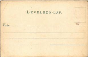 Brassó, Kronstadt, Brasov; Osztrák-Magyar Bank fiókintézete. Verlag der Buchhandlung Wilh. Hiemesch ...