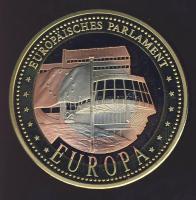 NSZK DN "Európai parlament" multicolor  emlékérem T:PP
