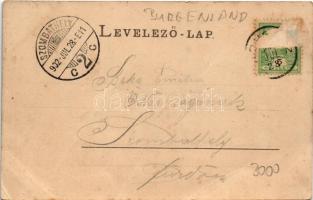 1902 Rohonc, Rechnitz; Faludi-Tal / Faludi-völgy (fa)