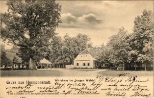 1905 Nagyszeben, Hermannstadt, Sibiu; Erdei vendéglő / Wirtshaus im Jungen Walde / Restaurant in Padurea Dumbrava. G.A. Seraphin, Jos. Drotleff (EK)