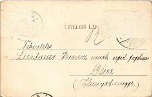 1905 Dicsőszentmárton, Tarnaveni, Diciosanmartin; Olvasókör pavilon, vármegyeháza. Hirsch Mór kiadás...