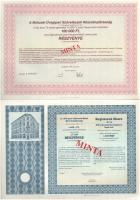 1991-1994. 5 darabos magyar részvény tétel: "Agroinvest", "Celladam", "Műsz...