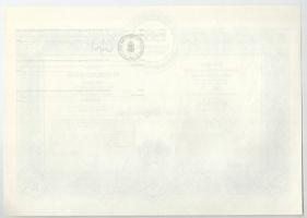 1991-1994. 5 darabos magyar részvény tétel: "Veszprémtej", "Ereco", "Béfa&q...