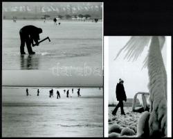 Velencei-tó, eltérő időben készült felvételek (szél szobrászat, lékhalász, légi felvétel, nádaratók,...